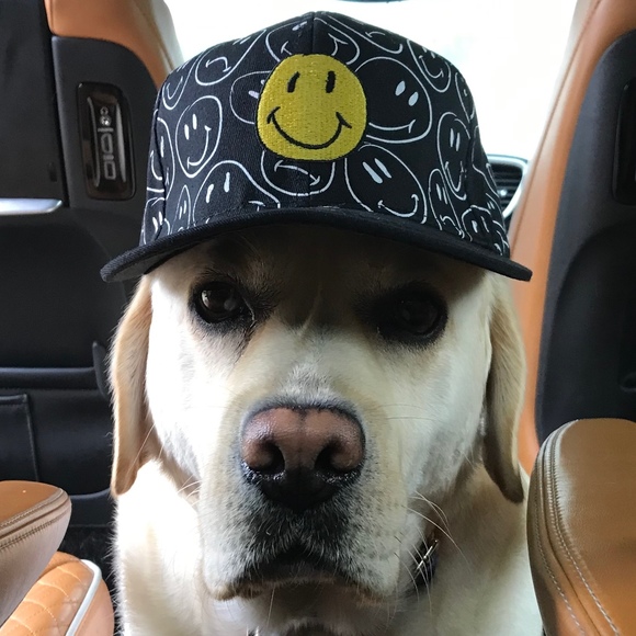lovethedogs1159